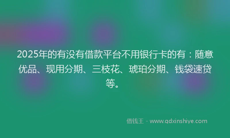 2025年的有没有借款平台不用银行卡的有：随意优品、现用分期、三枝花、琥珀分期、钱袋速贷等。
