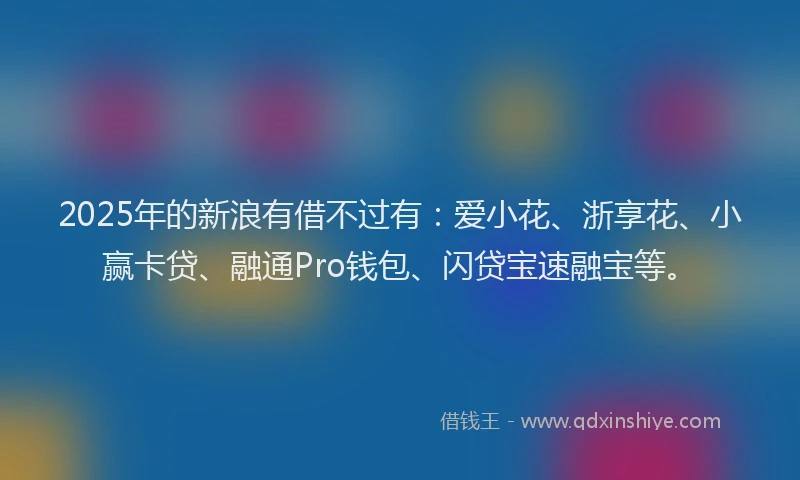 2025年的新浪有借不过有：爱小花、浙享花、小赢卡贷、融通Pro钱包、闪贷宝速融宝等。
