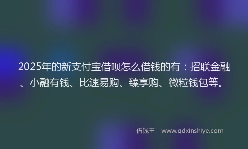 2025年的新支付宝借呗怎么借钱的有：招联金融、小融有钱、比速易购、臻享购、微粒钱包等。