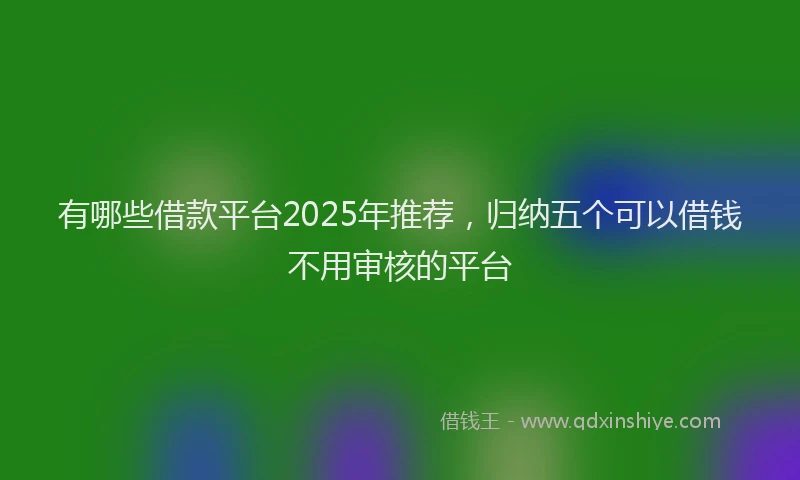 有哪些借款平台2025年推荐，归纳五个可以借钱不用审核的平台