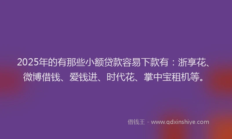 2025年的有那些小额贷款容易下款有：浙享花、微博借钱、爱钱进、时代花、掌中宝租机等。