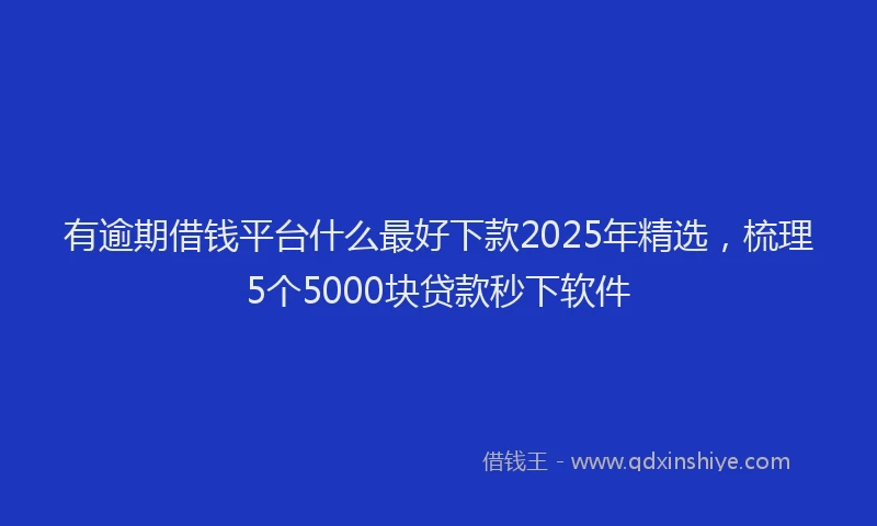有逾期借钱平台什么最好下款2025年精选，梳理5个5000块贷款秒下软件
