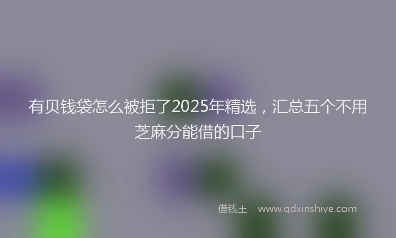 有贝钱袋怎么被拒了2025年精选，汇总五个不用芝麻分能借的口子