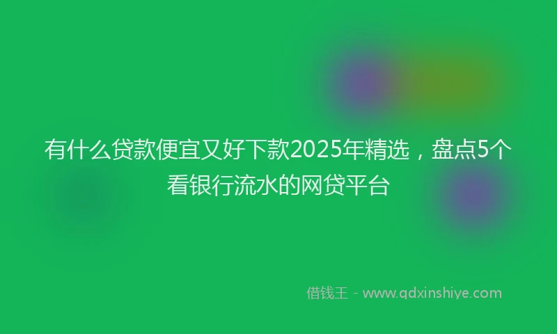 有什么贷款便宜又好下款2025年精选，盘点5个看银行流水的网贷平台