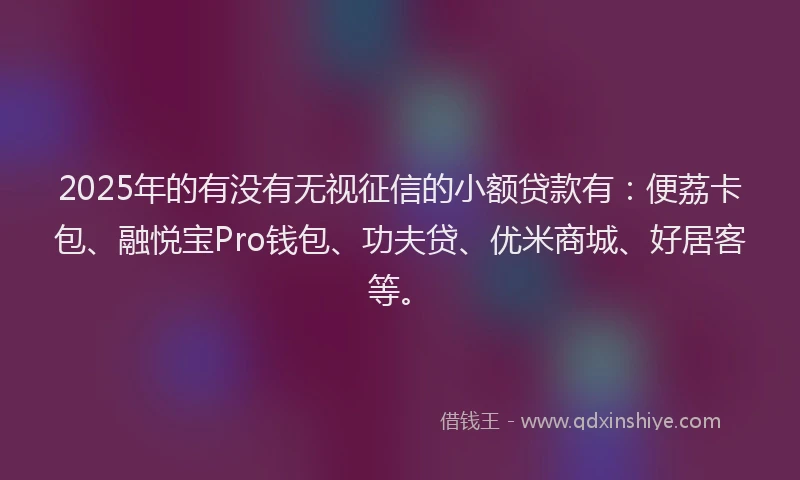 2025年的有没有无视征信的小额贷款有：便荔卡包、融悦宝Pro钱包、功夫贷、优米商城、好居客等。