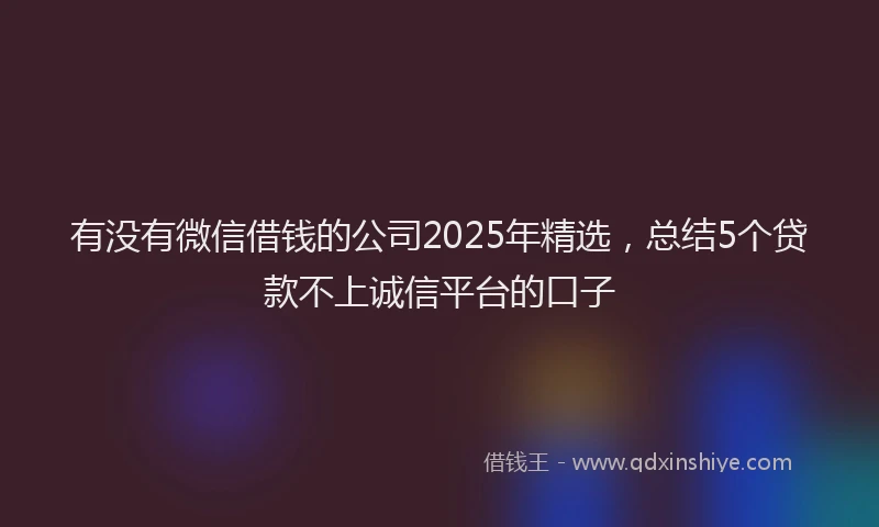 有没有微信借钱的公司2025年精选，总结5个贷款不上诚信平台的口子