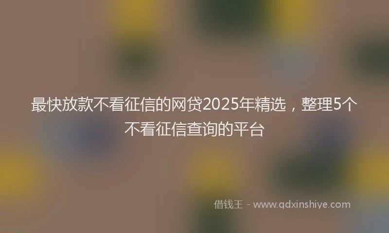 最快放款不看征信的网贷2025年精选，整理5个不看征信查询的平台