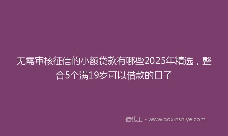 无需审核征信的小额贷款有哪些2025年精选，整合5个满19岁可以借款的口子