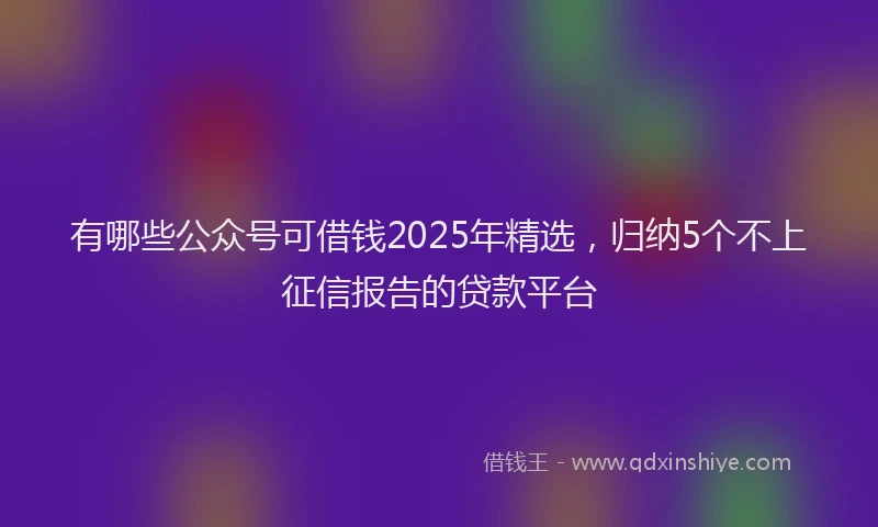 有哪些公众号可借钱2025年精选，归纳5个不上征信报告的贷款平台