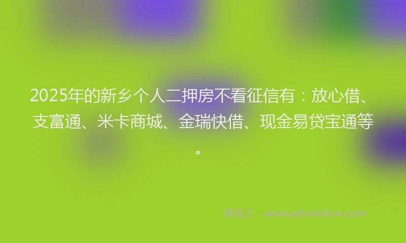 2025年的新乡个人二押房不看征信有：放心借、支富通、米卡商城、金瑞快借、现金易贷宝通等。