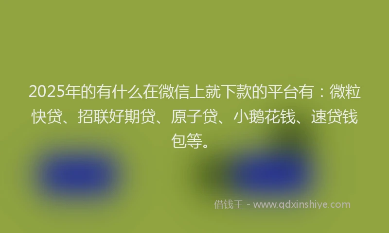 2025年的有什么在微信上就下款的平台有：微粒快贷、招联好期贷、原子贷、小鹅花钱、速贷钱包等。