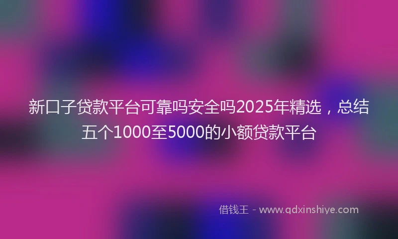 新口子贷款平台可靠吗安全吗2025年精选，总结五个1000至5000的小额贷款平台