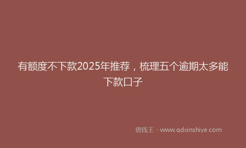 有额度不下款2025年推荐，梳理五个逾期太多能下款口子