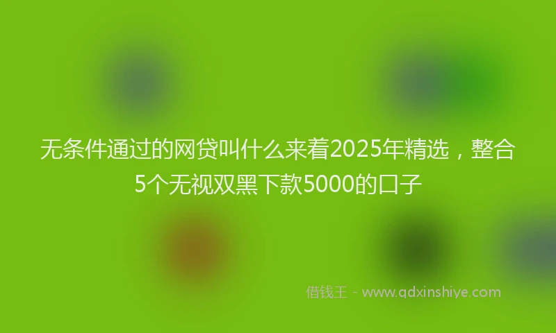 无条件通过的网贷叫什么来着2025年精选，整合5个无视双黑下款5000的口子