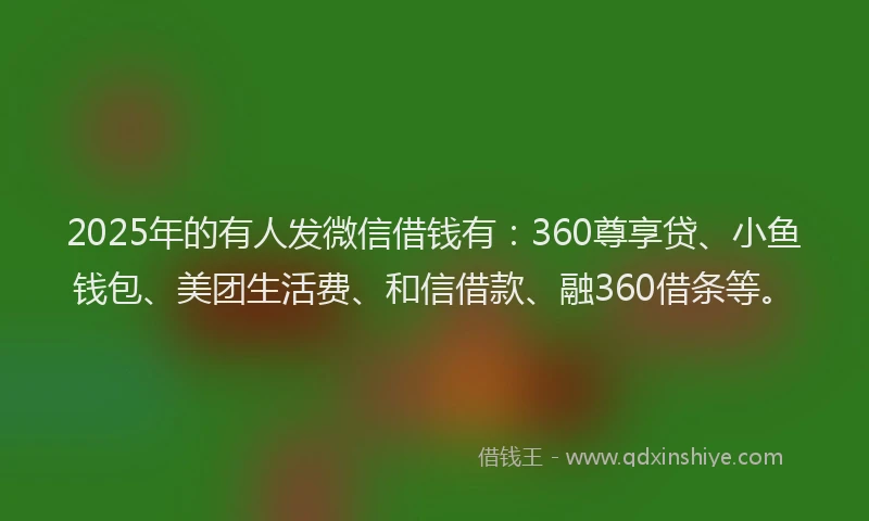 2025年的有人发微信借钱有：360尊享贷、小鱼钱包、美团生活费、和信借款、融360借条等。