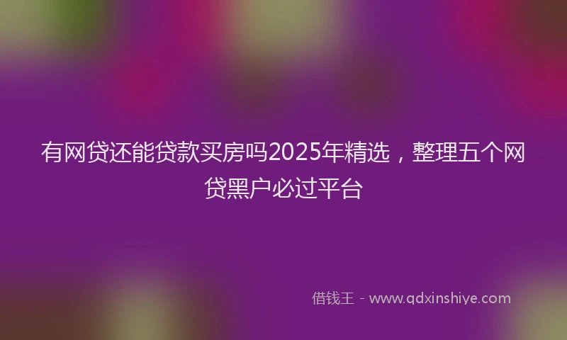 有网贷还能贷款买房吗2025年精选，整理五个网贷黑户必过平台