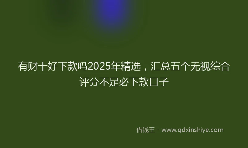 有财十好下款吗2025年精选，汇总五个无视综合评分不足必下款口子