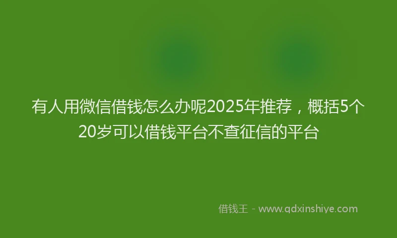 有人用微信借钱怎么办呢2025年推荐，概括5个20岁可以借钱平台不查征信的平台