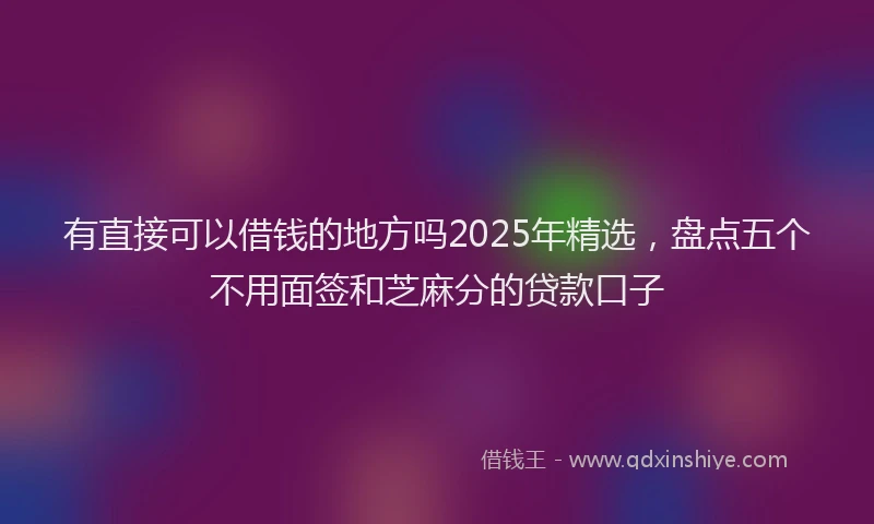 有直接可以借钱的地方吗2025年精选，盘点五个不用面签和芝麻分的贷款口子