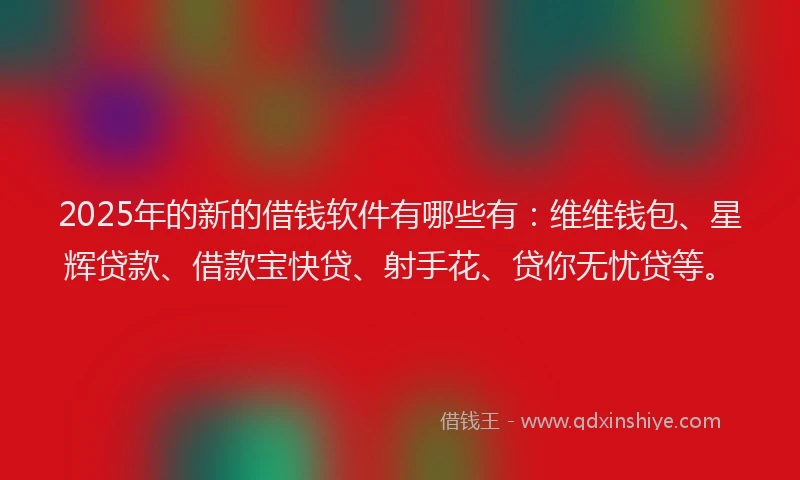 2025年的新的借钱软件有哪些有：维维钱包、星辉贷款、借款宝快贷、射手花、贷你无忧贷等。