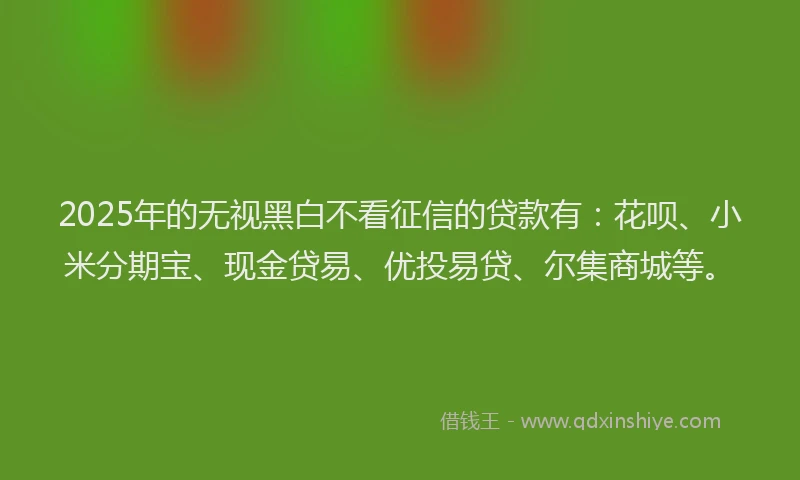 2025年的无视黑白不看征信的贷款有：花呗、小米分期宝、现金贷易、优投易贷、尔集商城等。