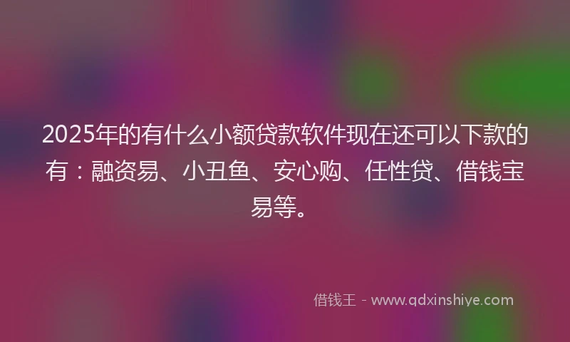2025年的有什么小额贷款软件现在还可以下款的有：融资易、小丑鱼、安心购、任性贷、借钱宝易等。