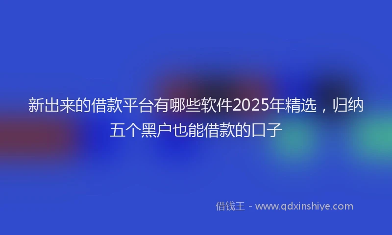 新出来的借款平台有哪些软件2025年精选，归纳五个黑户也能借款的口子