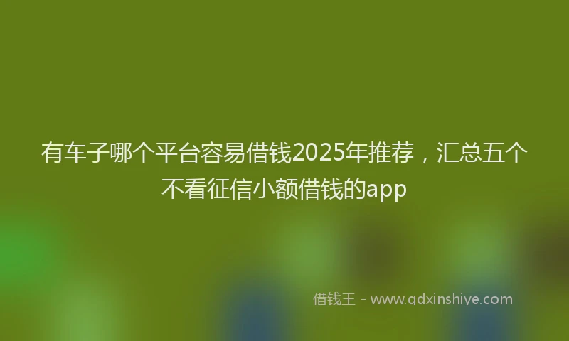 有车子哪个平台容易借钱2025年推荐，汇总五个不看征信小额借钱的app