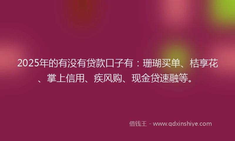2025年的有没有贷款口子有：珊瑚买单、桔享花、掌上信用、疾风购、现金贷速融等。