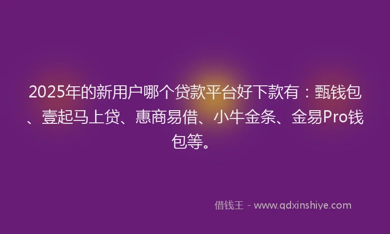 2025年的新用户哪个贷款平台好下款有：甄钱包、壹起马上贷、惠商易借、小牛金条、金易Pro钱包等。