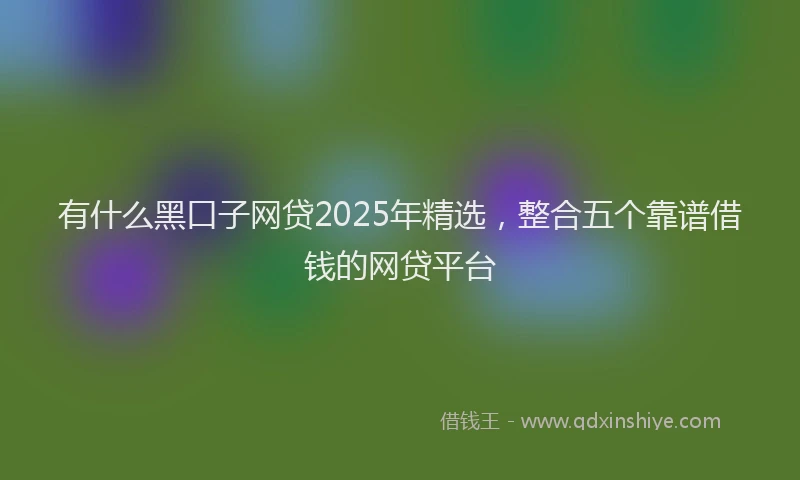 有什么黑口子网贷2025年精选，整合五个靠谱借钱的网贷平台