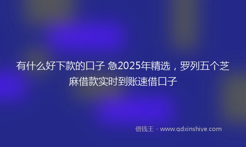 有什么好下款的口子 急2025年精选，罗列五个芝麻借款实时到账速借口子