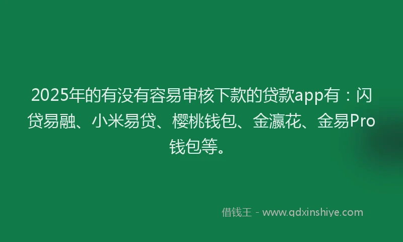 2025年的有没有容易审核下款的贷款app有：闪贷易融、小米易贷、樱桃钱包、金瀛花、金易Pro钱包等。