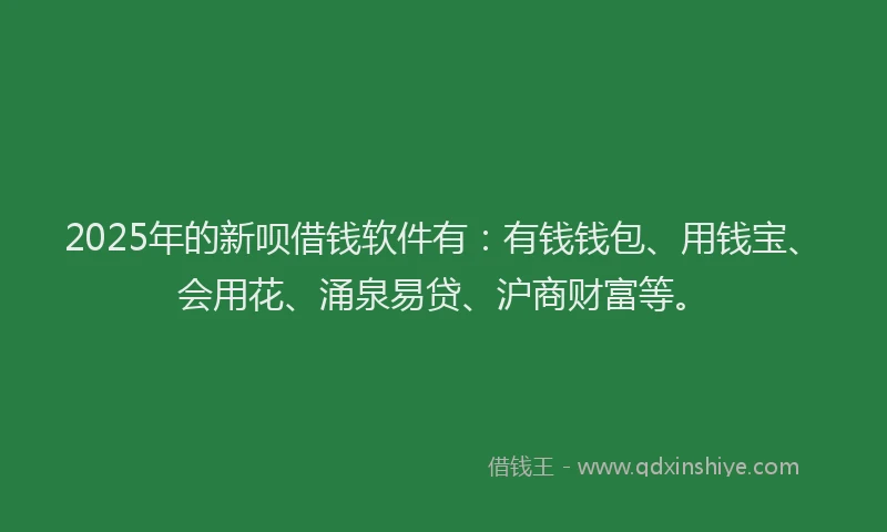 2025年的新呗借钱软件有：有钱钱包、用钱宝、会用花、涌泉易贷、沪商财富等。
