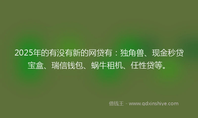 2025年的有没有新的网贷有：独角兽、现金秒贷宝盒、瑞信钱包、蜗牛租机、任性贷等。