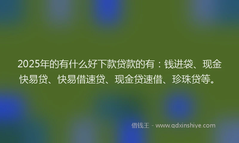 2025年的有什么好下款贷款的有：钱进袋、现金快易贷、快易借速贷、现金贷速借、珍珠贷等。