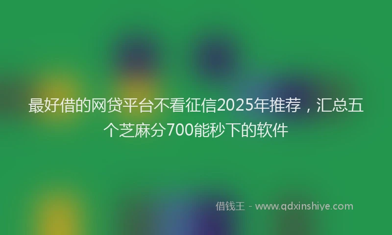 最好借的网贷平台不看征信2025年推荐，汇总五个芝麻分700能秒下的软件