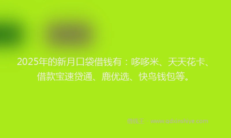 2025年的新月口袋借钱有：哆哆米、天天花卡、借款宝速贷通、鹿优选、快鸟钱包等。
