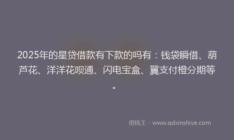 2025年的星贷借款有下款的吗有：钱袋瞬借、葫芦花、洋洋花呗通、闪电宝盒、翼支付橙分期等。