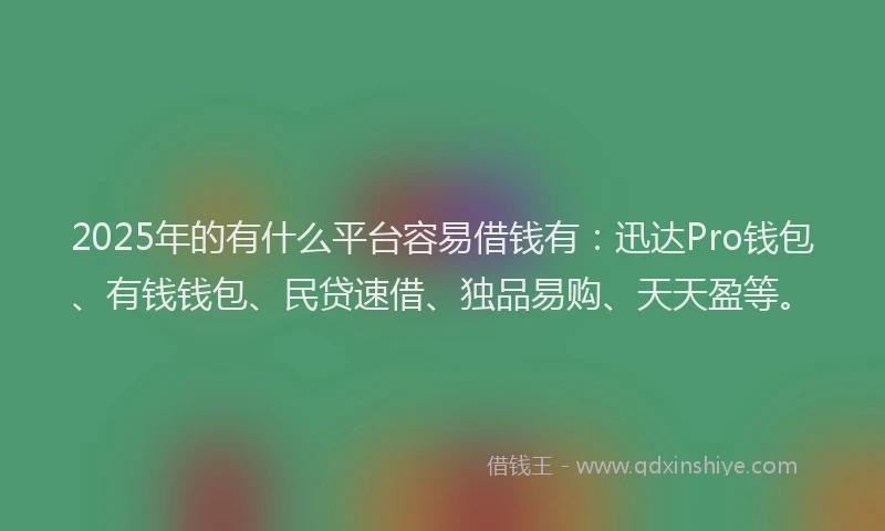 2025年的有什么平台容易借钱有：迅达Pro钱包、有钱钱包、民贷速借、独品易购、天天盈等。