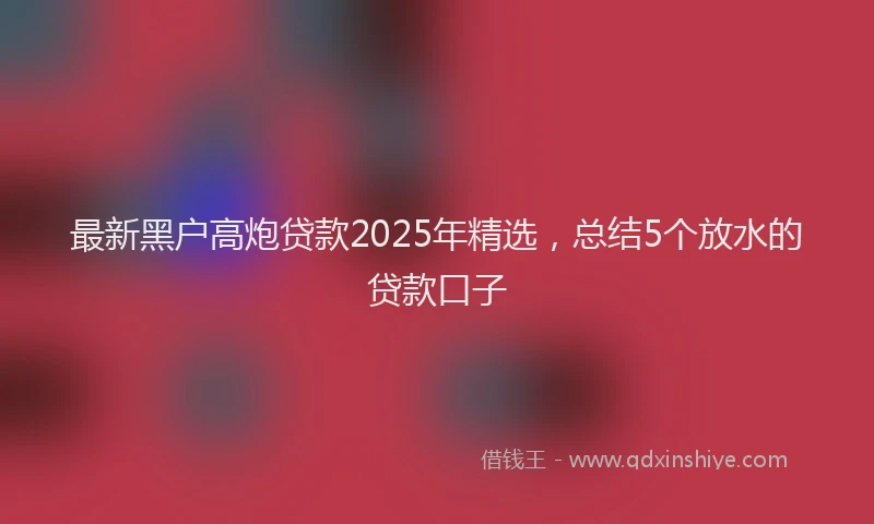 最新黑户高炮贷款2025年精选，总结5个放水的贷款口子