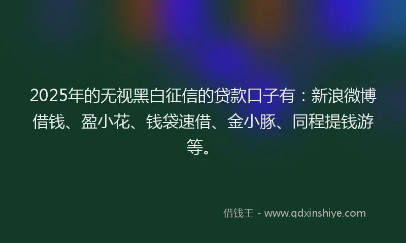 2025年的无视黑白征信的贷款口子有：新浪微博借钱、盈小花、钱袋速借、金小豚、同程提钱游等。