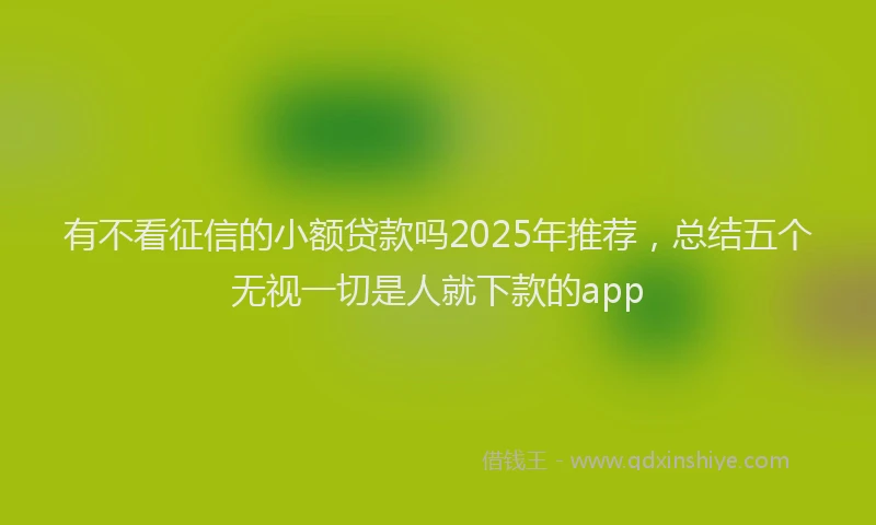 有不看征信的小额贷款吗2025年推荐，总结五个无视一切是人就下款的app