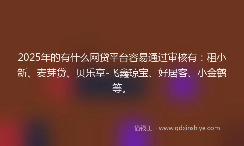 2025年的有什么网贷平台容易通过审核有：租小新、麦芽贷、贝乐享-飞鑫琼宝、好居客、小金鹤等。