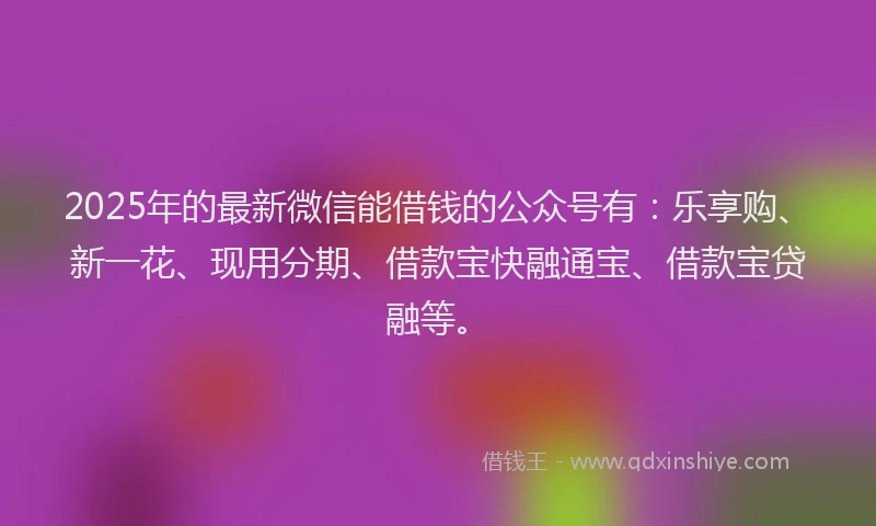 2025年的最新微信能借钱的公众号有：乐享购、新一花、现用分期、借款宝快融通宝、借款宝贷融等。