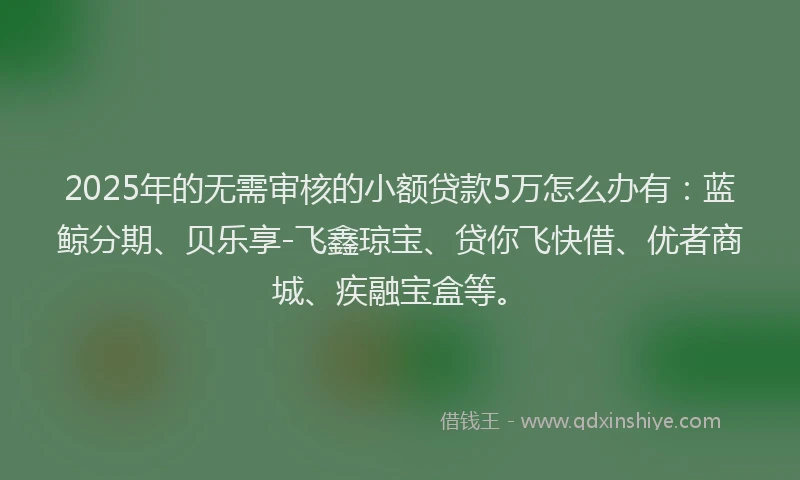 2025年的无需审核的小额贷款5万怎么办有：蓝鲸分期、贝乐享-飞鑫琼宝、贷你飞快借、优者商城、疾融宝盒等。