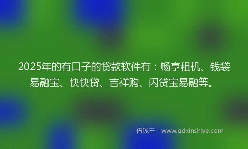 2025年的有口子的贷款软件有：畅享租机、钱袋易融宝、快快贷、吉祥购、闪贷宝易融等。
