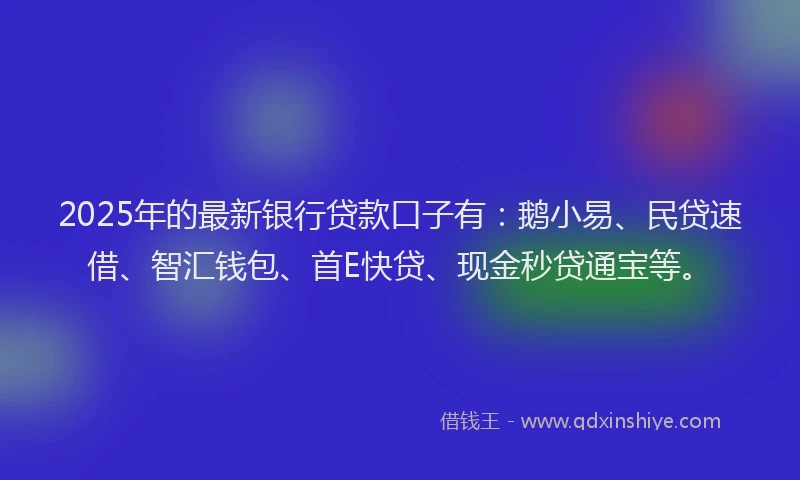 2025年的最新银行贷款口子有：鹅小易、民贷速借、智汇钱包、首E快贷、现金秒贷通宝等。