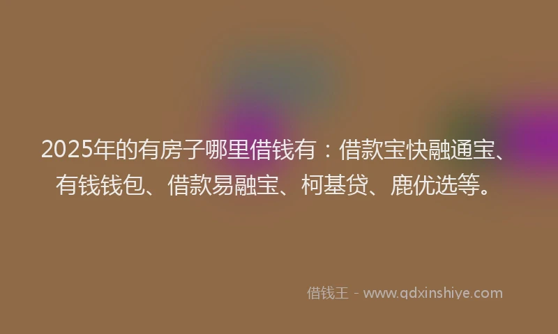 2025年的有房子哪里借钱有：借款宝快融通宝、有钱钱包、借款易融宝、柯基贷、鹿优选等。