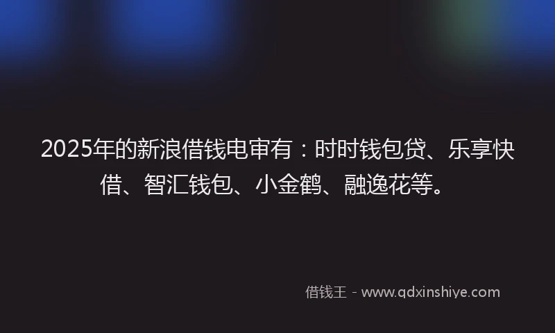 2025年的新浪借钱电审有：时时钱包贷、乐享快借、智汇钱包、小金鹤、融逸花等。